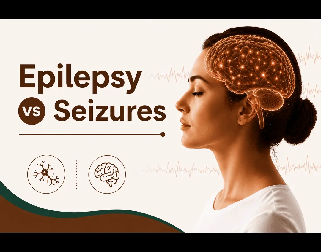 Epilepsy Vs Seizures
